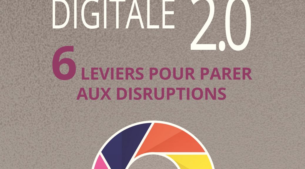Livre Transformation digitale 2.0, le livre pour faire son diagnostic de maturité numérique